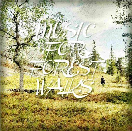 LISTEN & BUY: Music For Forest Walks
